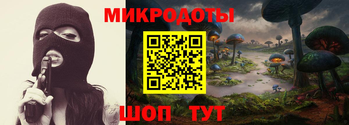 Ярцево  Псилоцибиновые грибы Psilocybe  Галлюциногенные грибы Psilocybe  Вход с VPN 